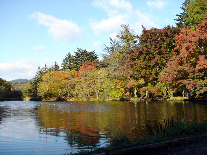 悠閒午後@浪漫輕井澤~~ 悠閒午後@浪漫輕井澤~~