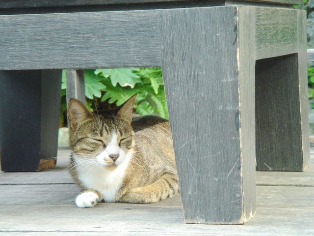 【台中】悠閒漫遊在… 【台中】悠閒漫遊在…