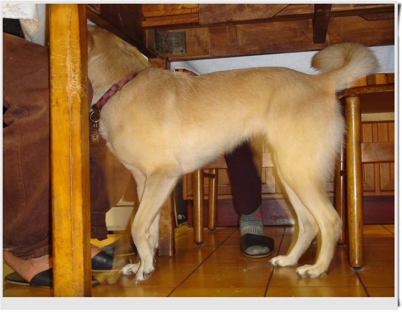 拔拔回來了^^ 拔拔回來了^^