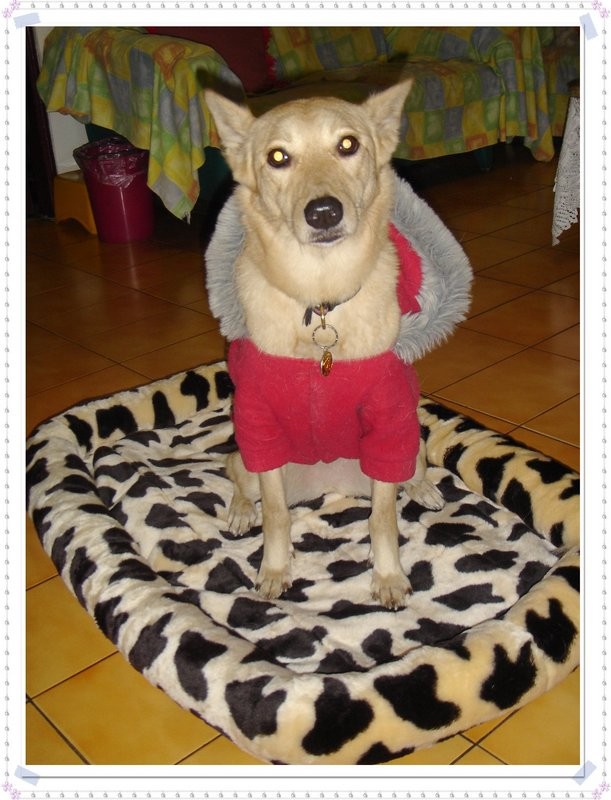 哥哥的床墊~~ 哥哥的床墊~~