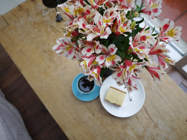 清境遊。。。 清境遊。。。