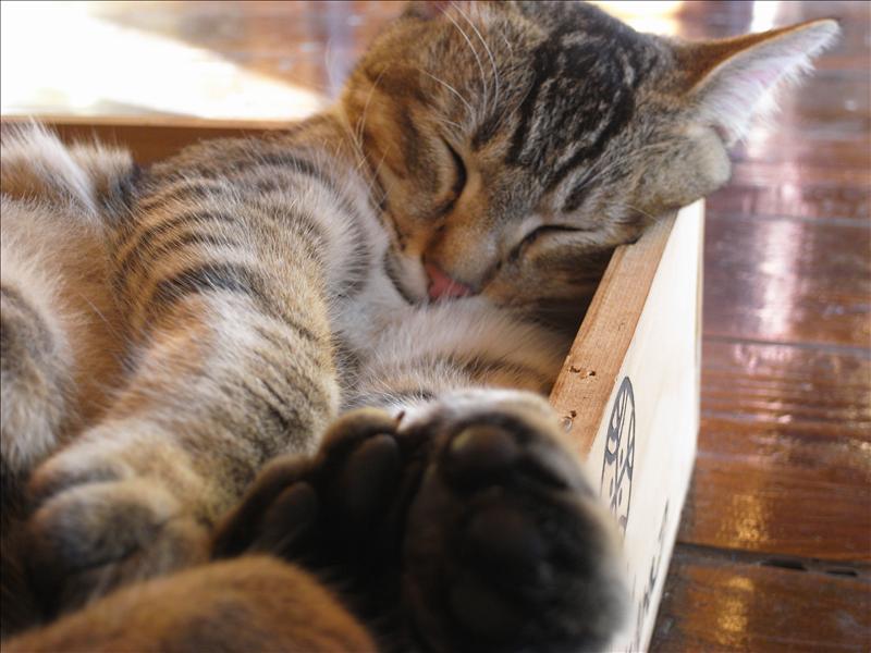 往三芝。石牆仔內。 往三芝。石牆仔內。