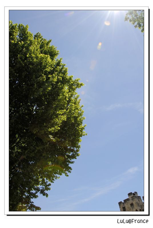 【France】南法隨筆 【France】南法隨筆