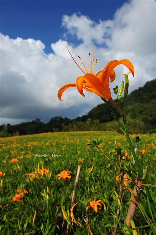 【花蓮小旅行】決定出發。序。(取消) 【花蓮小旅行】決定出發。序。(取消)