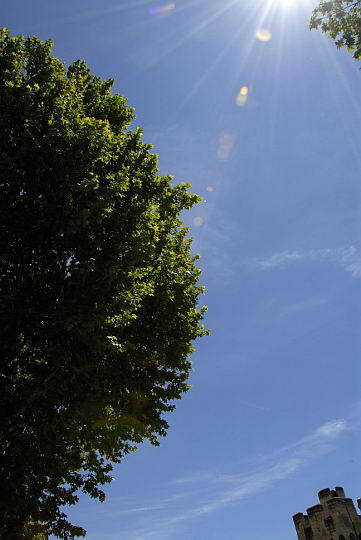 普羅旺斯的陽光 普羅旺斯的陽光