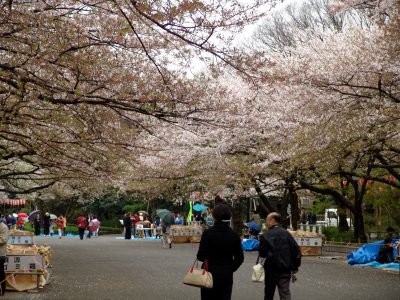 東京•上野公園