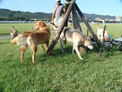 http://4.share.photo.xuite.net/lulu647233/14d1115/7249456/279682789_m.jpg