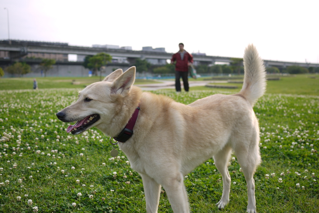 兩枚女朋友。大佳河濱公園約會去。