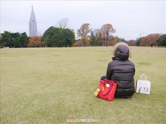 〔2009‧深秋‧東京銀杏行〕新宿御苑野餐行