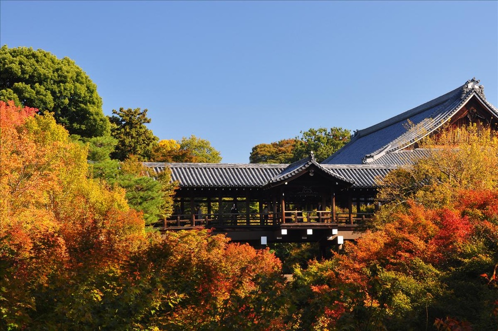 【2008‧深秋‧京都】東福寺周邊一日遊