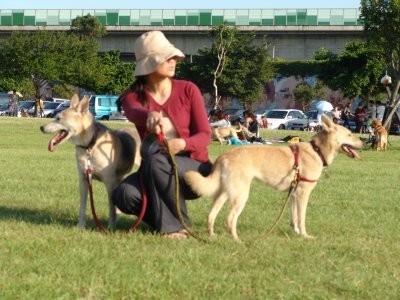 http://4.share.photo.xuite.net/lulu647233/14d115a/7249456/279682858_m.jpg