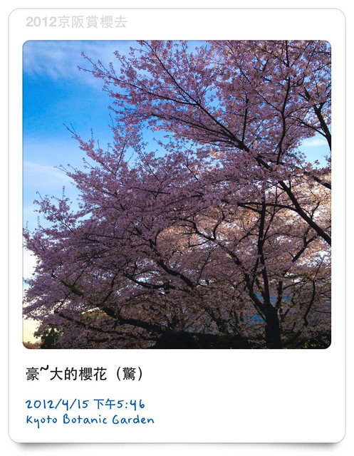下一張(熱鍵:c)
