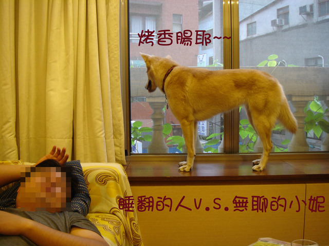 盧小妮之別館新體驗