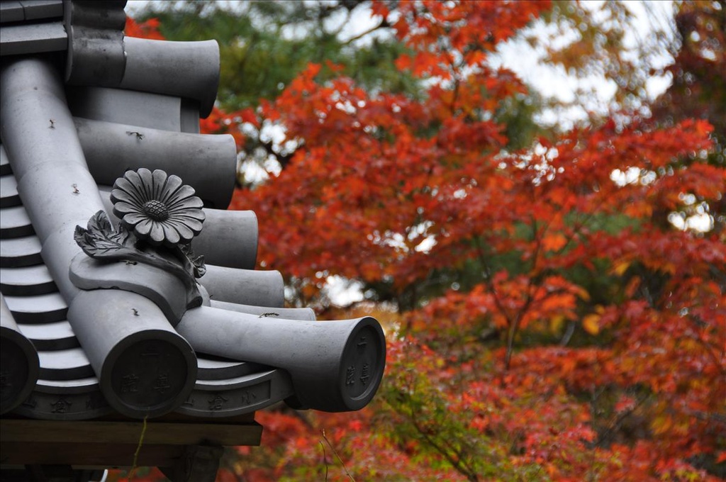 【2008‧深秋‧京都】京都嵐山的美好午餐