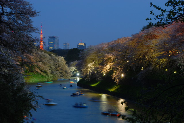 【2008‧東京‧櫻】我在東京。腸。胃。炎。