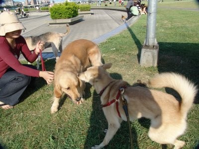 http://4.share.photo.xuite.net/lulu647233/14d11ad/7249456/279682685_m.jpg