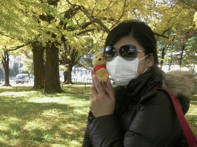 【2008‧深秋‧京都】抵台