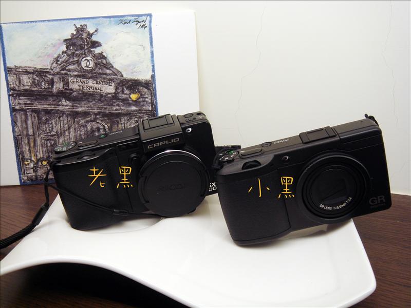 預-備-備-起。小黑正式開始服役。((灑花瓣列隊歡迎))
