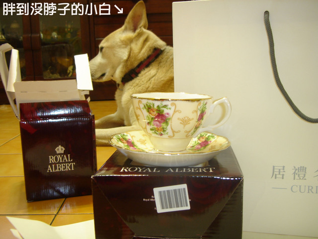 出乎意料的第一份新家禮物~~